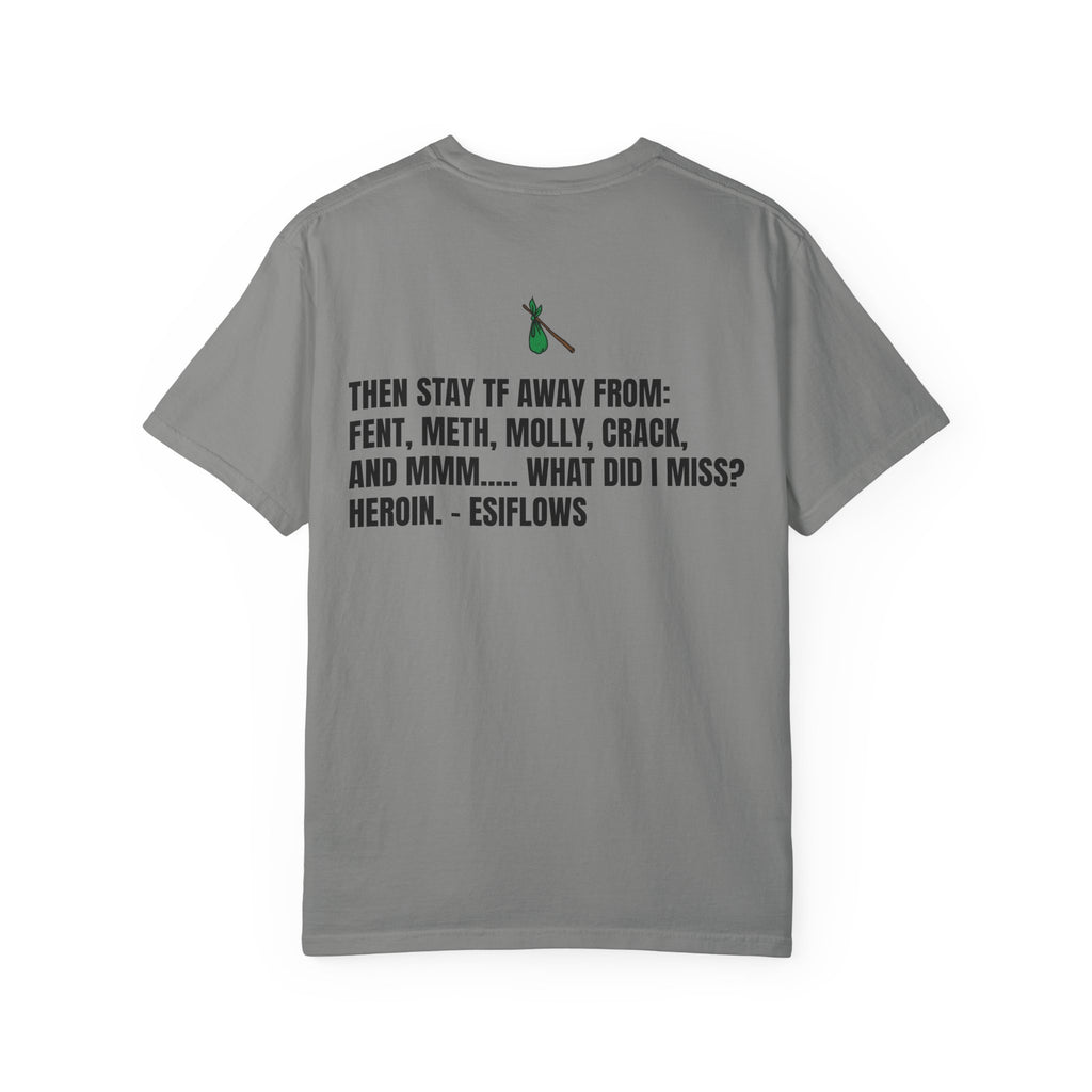 "ARE YOU READY TO SELL YOUR ASS TO HOBOS?" V2 | ***[Graphic Tee]*** | EsiFlows x Starrrlight9 | Funny Viral Meme Anti-Drug T-Shirt