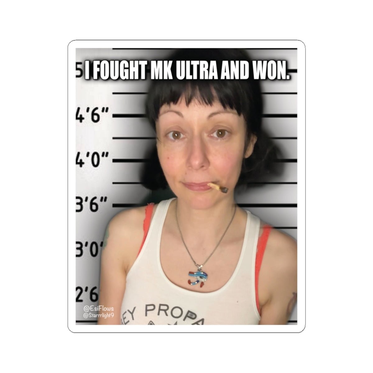 "I Fought MK Ultra and Won" | ***[Sticker]*** | EsiFlows | MK Ultra Funny Stickers - EsiFlows