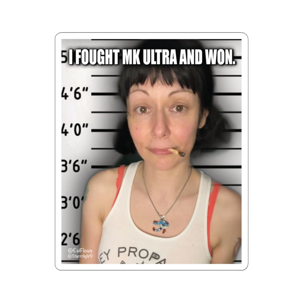 "I Fought MK Ultra and Won" | ***[Sticker]*** | EsiFlows | MK Ultra Funny Stickers - EsiFlows