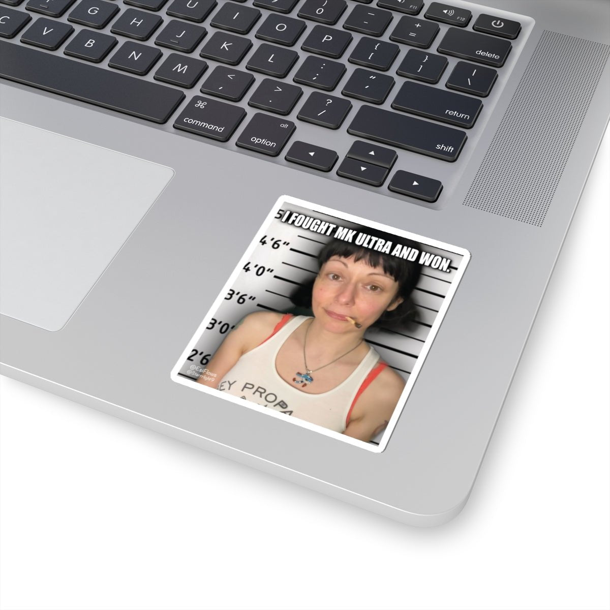 "I Fought MK Ultra and Won" | ***[Sticker]*** | EsiFlows | MK Ultra Funny Stickers - EsiFlows