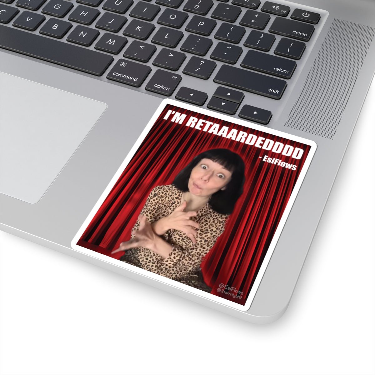 "I'm Retarded" | ***[Sticker]*** | Esiflows | Funny Retarded Aesthetic Sticker - EsiFlows