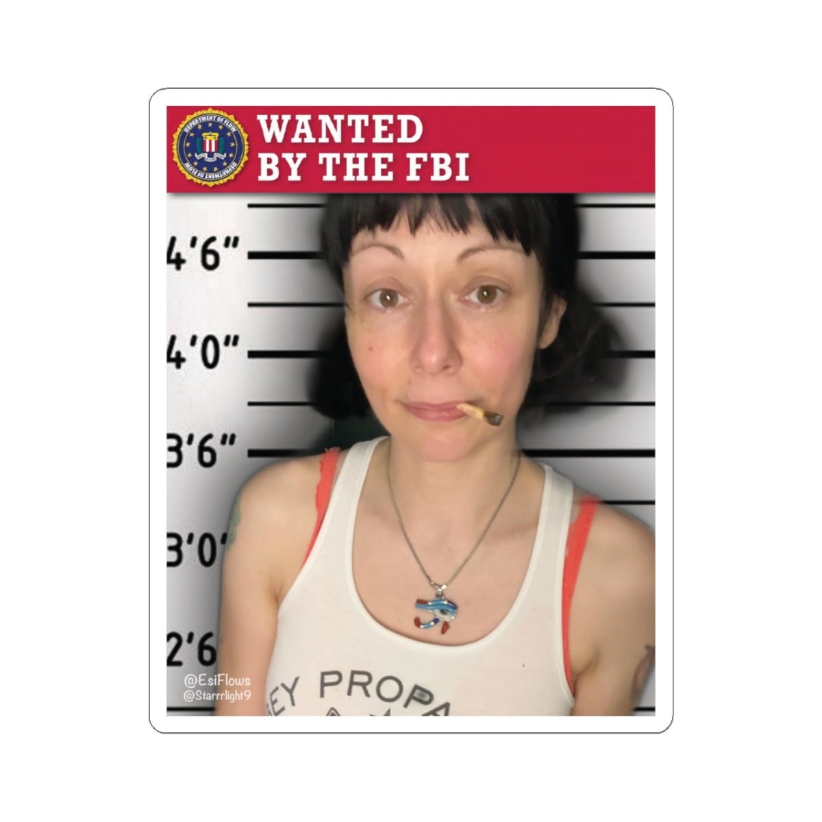 "Wanted By The FBI" | ***[Sticker]*** | Esiflows | Funny FBI Sticker - EsiFlows
